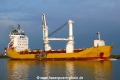 Tracer (MB-100711-09).jpg