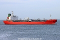 Swan Indian TL-070226-2.jpg