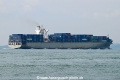 Panda 006 OS-211024-2.jpg