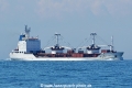 Silver Horn HK-150718-1.jpg