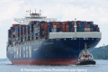 CMA CGM Callisto (KB-D060810-08).jpg