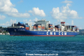 CMA CGM Danube (OK-190814-5).jpg