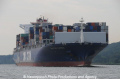 CMA CGM Carmen 200809-01.jpg