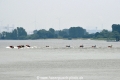 Greenpeace-Konvoi 070717-04.jpg