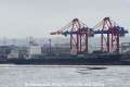 CSAV Renaico 290110-01.jpg