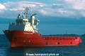 Northern Gambler (K2003-MS).jpg