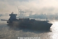 Ava D JP-311019.jpg