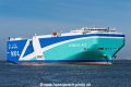 Cerulean Ace SH-230225-01.jpg
