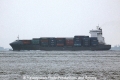 Ava D (MS-151012-01).jpg
