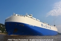 Glovis Clipper 150914-15.jpg