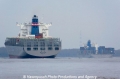 Wan Hai Containerschiffe (AW-150308-01).jpg