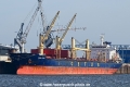 China Spirit OS-050325-01.jpg