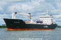 Silver Pearl (OK-010823-0).jpg