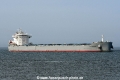 Carlton Trader JG-310525-2.jpg