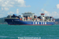 CMA CGM Danube (OK-190814-3).jpg