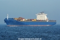 Buxcoast HK-010417-2.jpg