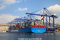 Cosco Shipping Scorpio (JS-220921-03).jpg