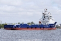 OOC Cougar (OK-150420-1).jpg