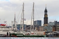 Rainbow Warrior (KB-D201011-06).jpg