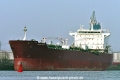 Champion Endurance (KB-D220125-01).jpg