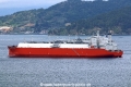 Celsius Galapagos (MS-190425-3).jpg
