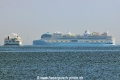 Star of the Seas (MS-190725-3).jpg