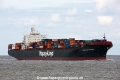 Portland Express (MM-040514-1).jpg