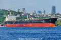 Torex (OK-310824-0).jpg