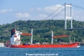 Timberland (OK-190826-4).jpg