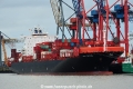 RDO Fortune (KB-D251218-03).jpg