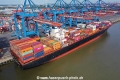 Rotterdam Star 310720.jpg