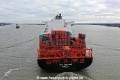 RDO Fortune KH-241218-4.jpg