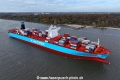 San Augustin Maersk 131123-09.jpg