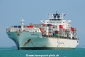 Safmarine Mafadi OS-280214-01.jpg
