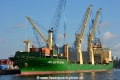 Zea New Orleans (KB-D210619-01).jpg