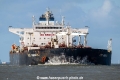 VST Amara SH-040126-01.jpg
