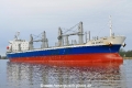 SE Cardi (OK-190320-0).jpg