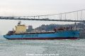 Sea-Land Eagle (OK-070108-0).jpg