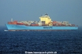 Seago Antwerp 261015-06.jpg