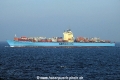 Seago Antwerp 261015-04.jpg