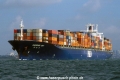 Shenzhen Bay (K1998-MS).jpg