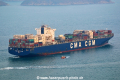 CMA CGM Ivanhoe HK-210117.jpg