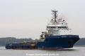 Sea Bear (MM-211015-1).jpg