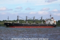 New Vision KH-260611-2.jpg