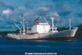 Tuscan Star K100592 (2).jpg
