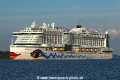AIDAprima TL-150717-3.jpg