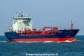 CM Prime SH-080425-01.jpg