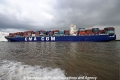 CMA CGM Orfeo 200808-12.jpg