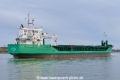 Arklow Viking (OK-100119-2).jpg