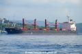 SSI Majesty (OK-250821-1).jpg